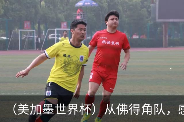 （美加墨世界杯）从佛得角队，感受足球的动人