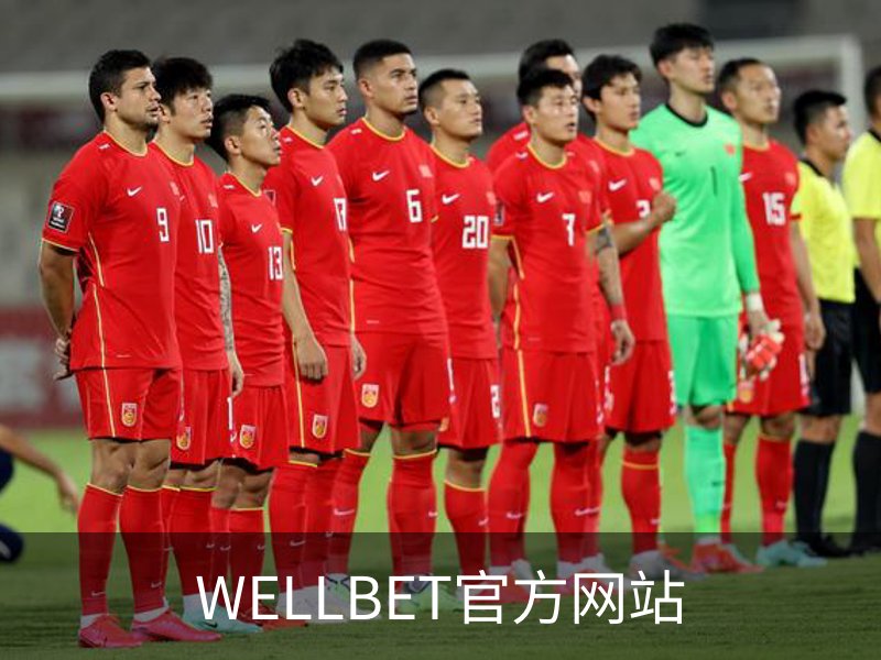 WELLBET官方网站介绍